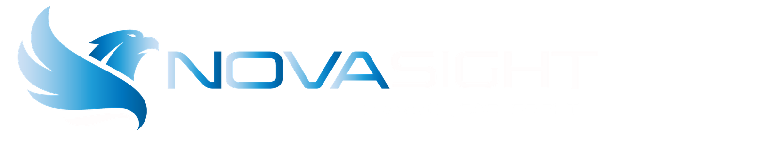 EagleSight - Gestión de Vulnerabilidades